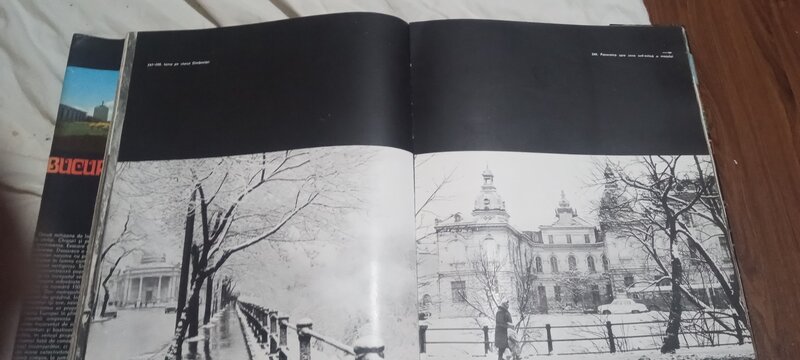 BucurestI - de Hedy Loffler.