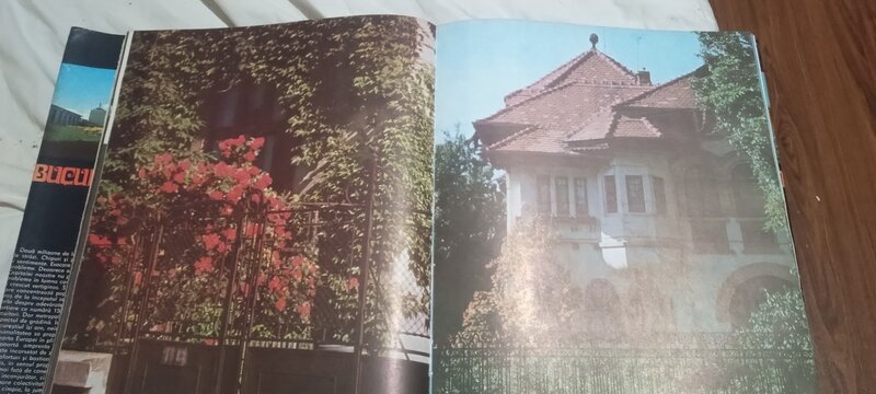 BucurestI - de Hedy Loffler.